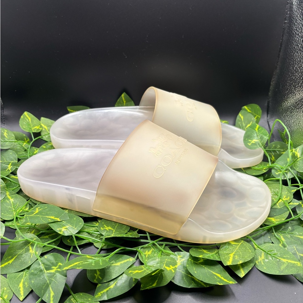 Coach Translucent Cream Slide Sandals with Embossed Logo